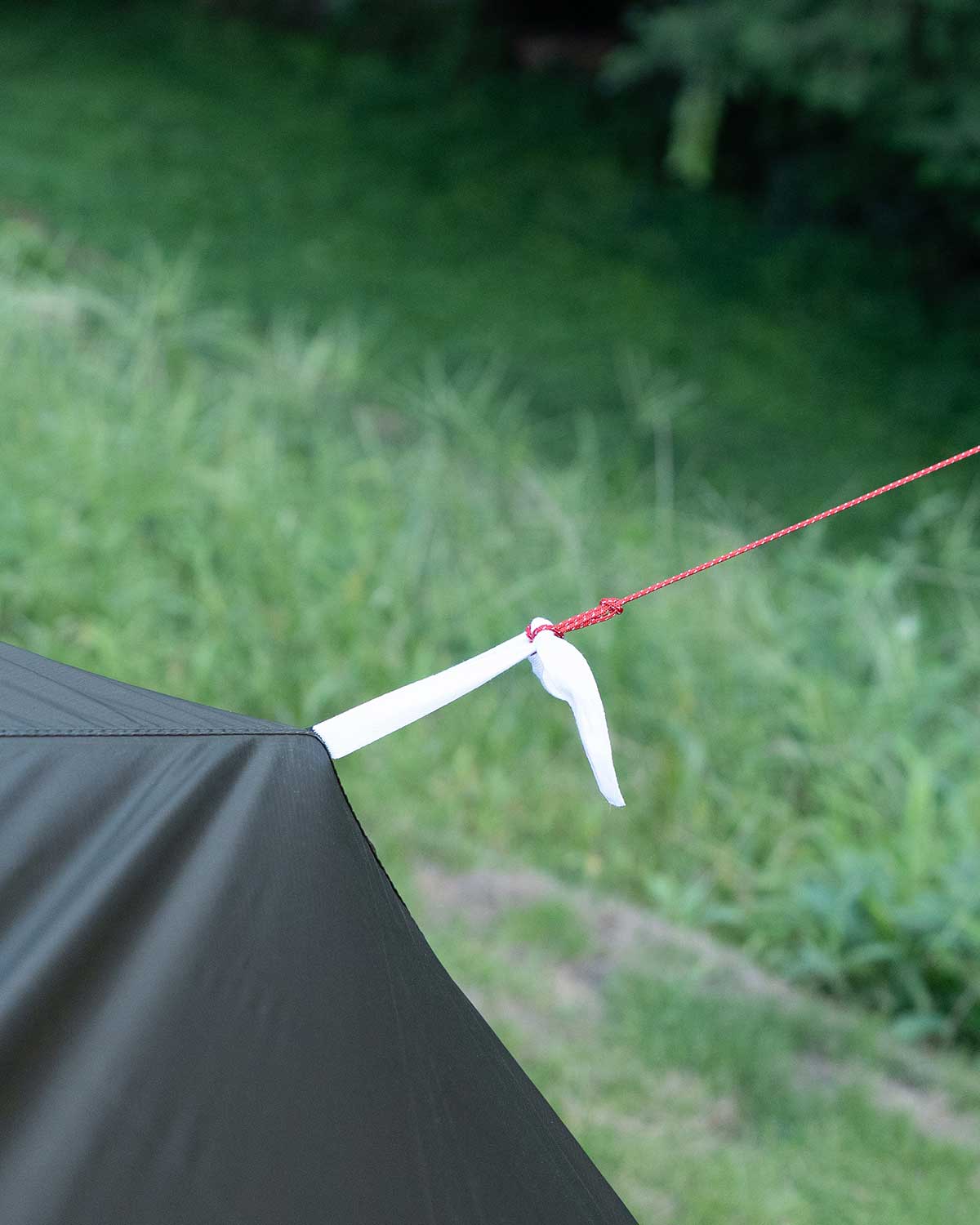 Equinox Globe Skimmer Ultralite Tarp|背面タイアウトループ詳細