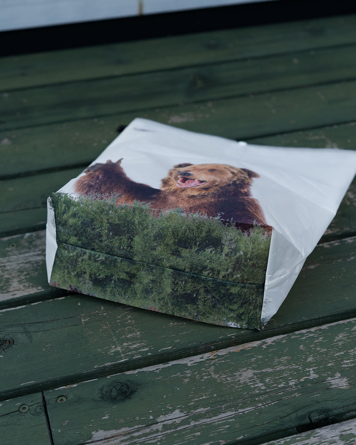Hilltop Packs フードバッグ Fun Print Yo Bear Large|製品画像 底面 熊プリントデザイン 防水バッグ
